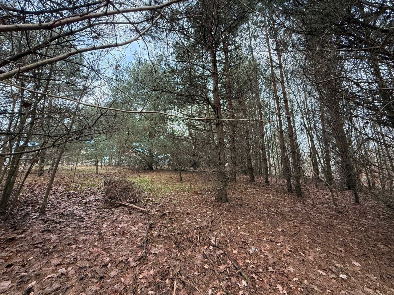 Działka rolna Kobysewo, ul. Orzechowa. Zdjęcie 2