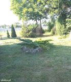 Działka siedliskowa Tworki, Tworki. Zdjęcie 3