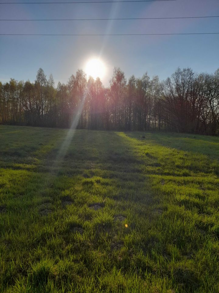 Działka budowlana Roczyny, ul. Jesionowa. Zdjęcie 5