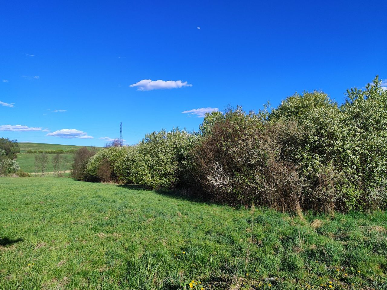 Działka rolno-budowlana Jurczyce. Zdjęcie 1