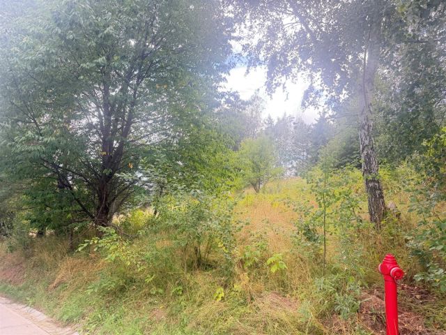 Działka budowlana Krynica-Zdrój Słotwiny. Zdjęcie 11