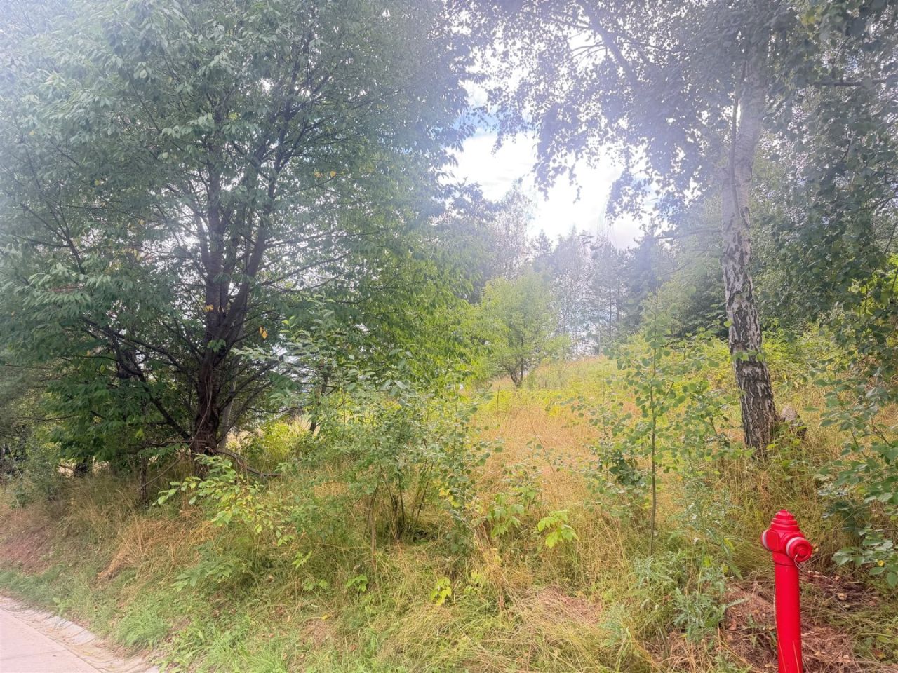 Działka budowlana Krynica-Zdrój Słotwiny. Zdjęcie 11