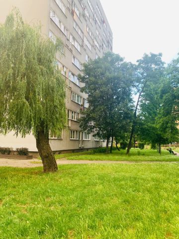 Mieszkanie 2-pokojowe Wrocław Stare Miasto, ul. Legnicka. Zdjęcie 18