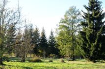Działka siedliskowa Grzegorzewice, ul. Pałacowa. Zdjęcie 1