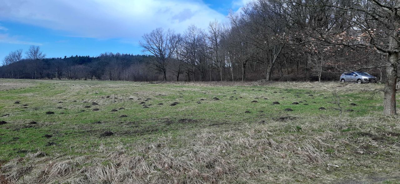 Działka budowlana Krakulice. Zdjęcie 3