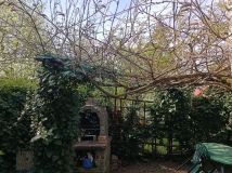 Działka rod Bydgoszcz, ul. Lisia. Zdjęcie 4