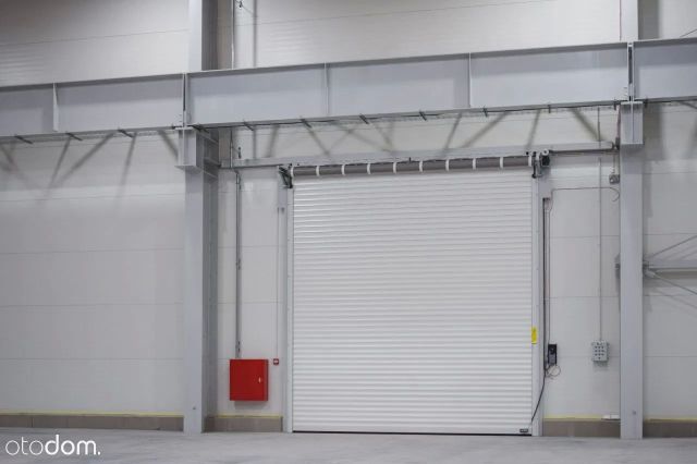 Hala/magazyn Elbląg. Zdjęcie 5