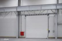 Hala/magazyn Elbląg. Zdjęcie 4