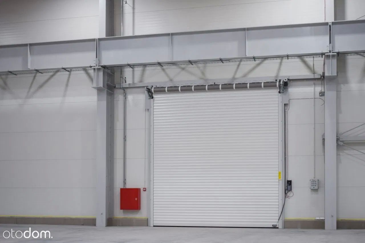 Hala/magazyn Elbląg. Zdjęcie 5