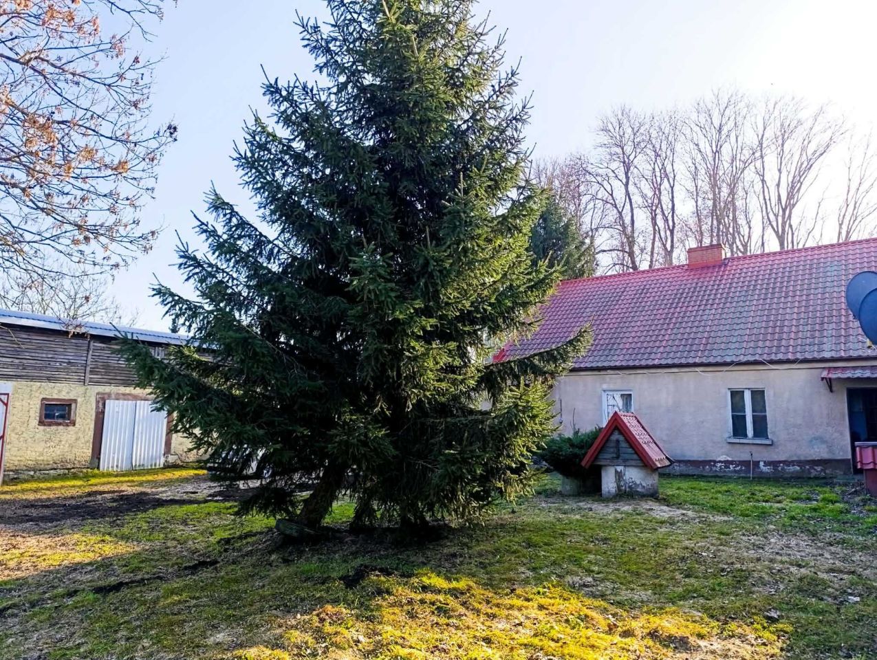 bliźniak Rakowice. Zdjęcie 6