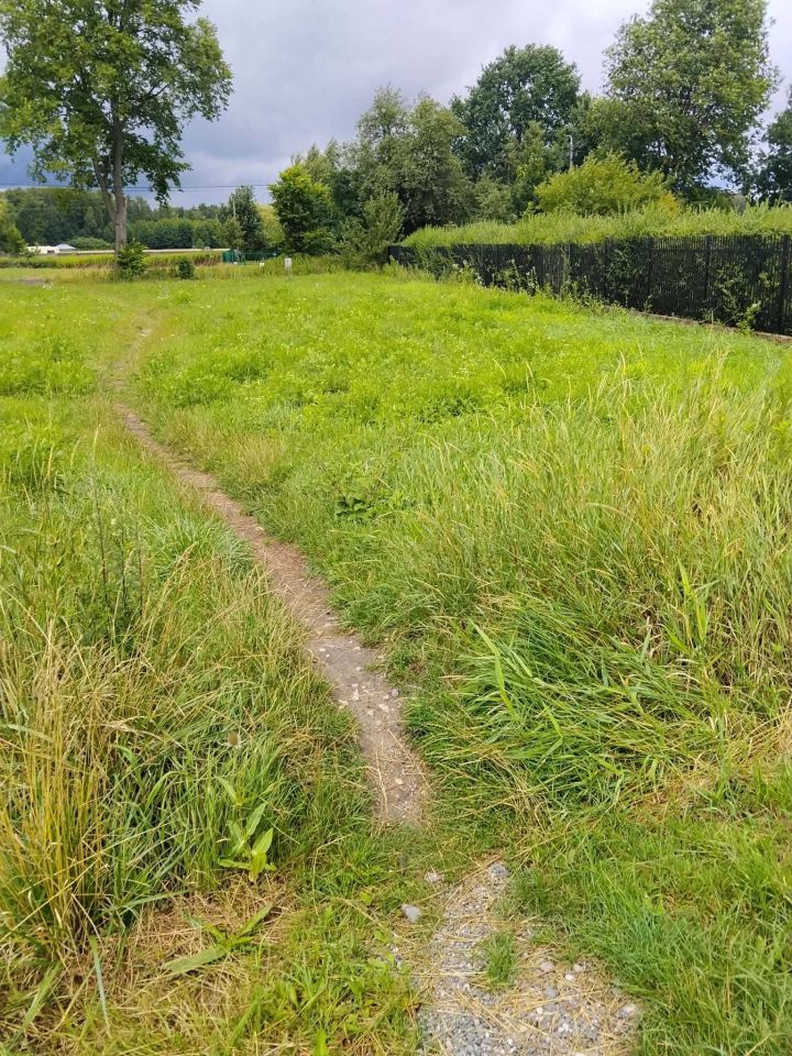Działka budowlana Dobczyn, ul. Szkolna. Zdjęcie 4