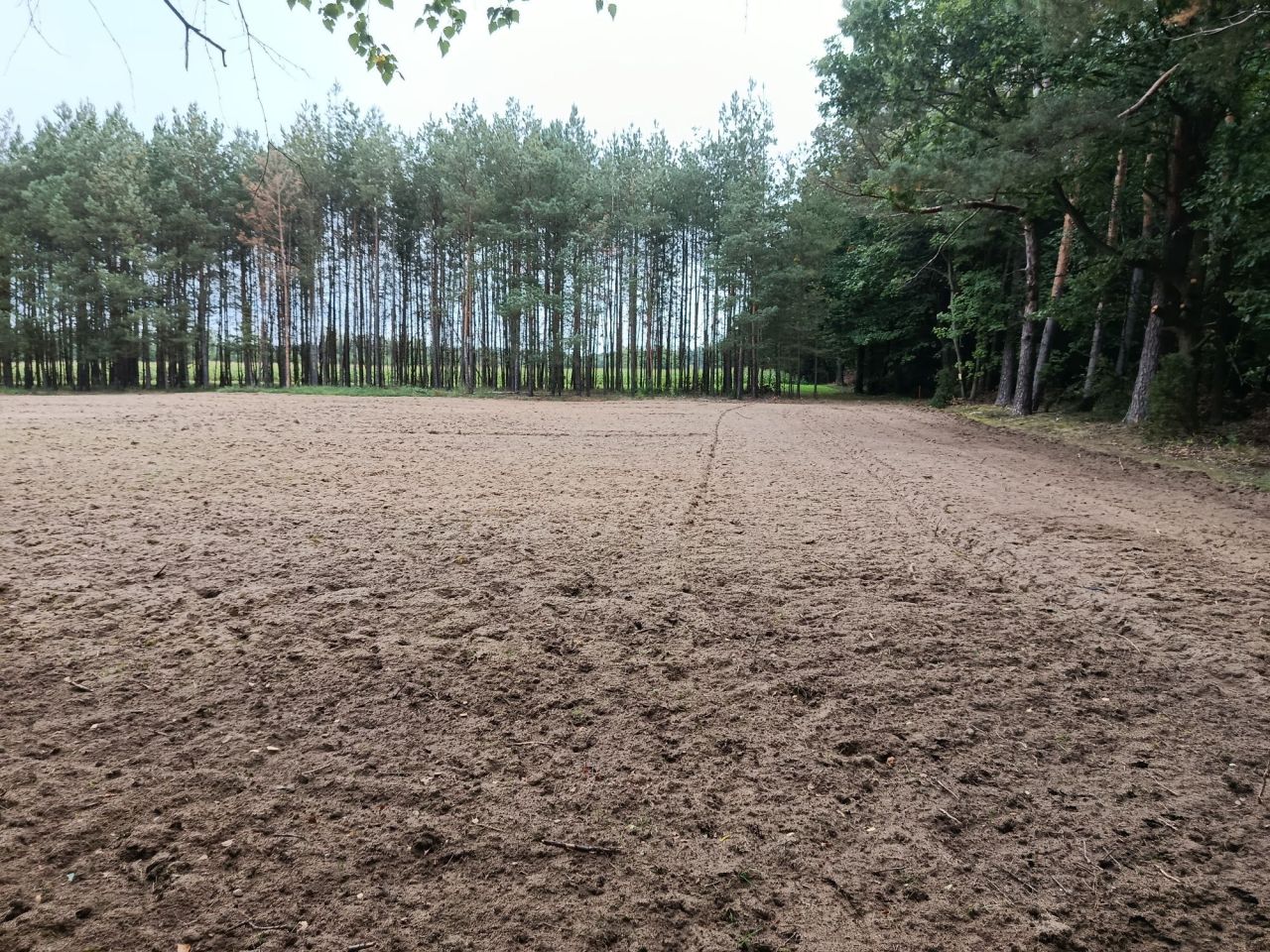 Działka budowlana Szczerby. Zdjęcie 2