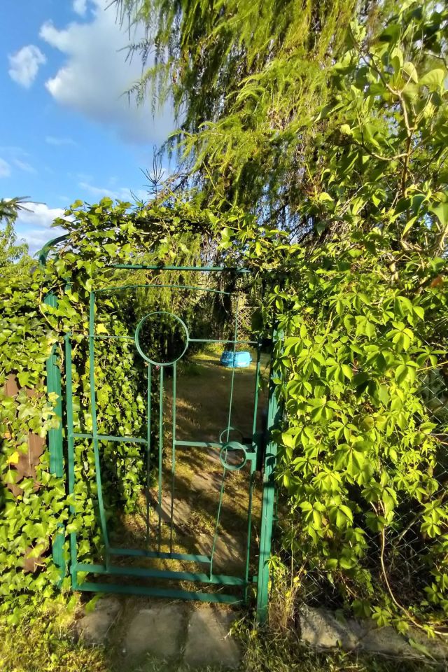 Działka rod Warszawa Mokotów. Zdjęcie 2