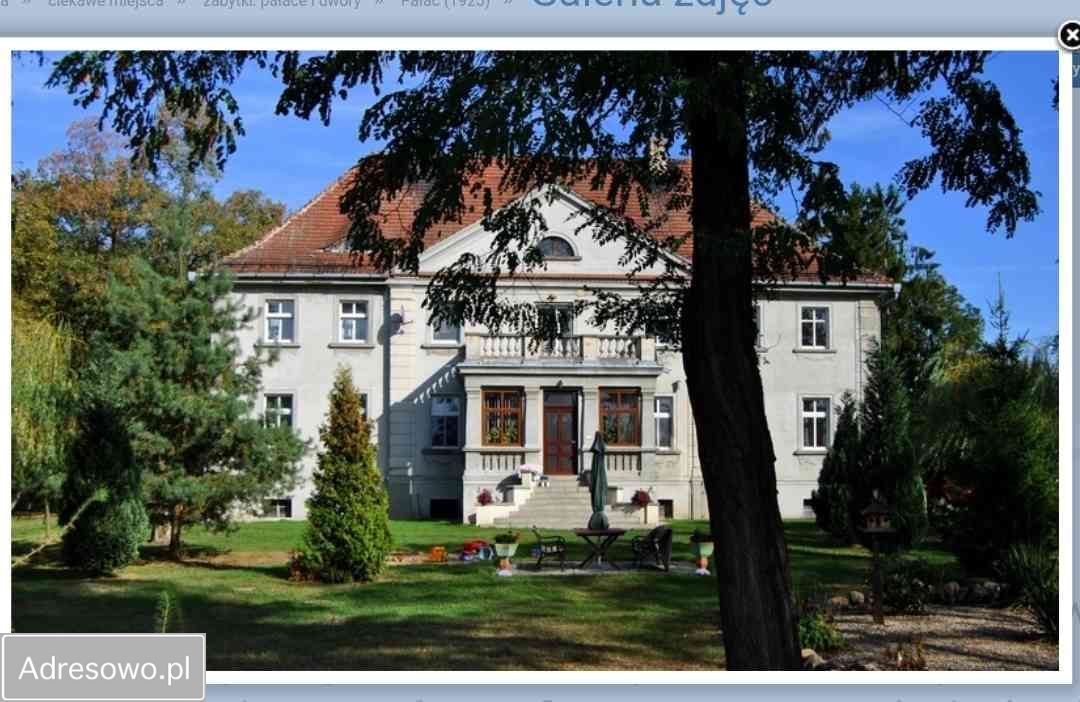 kamienica, 5 pokoi Pszczonki. Zdjęcie 5