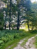 Działka budowlana Nowe Polaszki. Zdjęcie 3