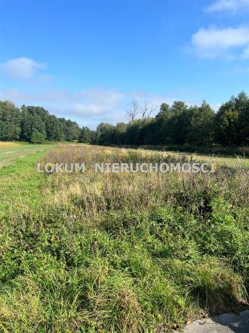 Działka rolna Gołkowice, ul. Celna. Zdjęcie 2