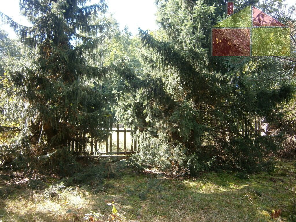 Działka budowlana Strzeszowice. Zdjęcie 7