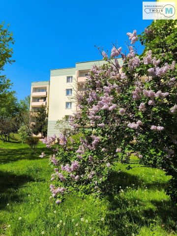 Mieszkanie 2-pokojowe Kielce. Zdjęcie 13