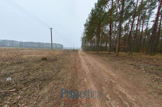 Działka budowlana Opaleniec. Zdjęcie 7