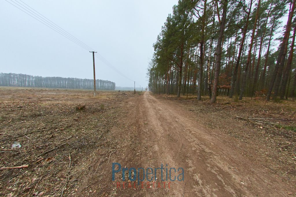 Działka budowlana Opaleniec. Zdjęcie 7