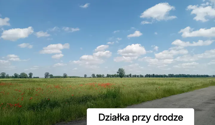 Działka budowlana Świerzna