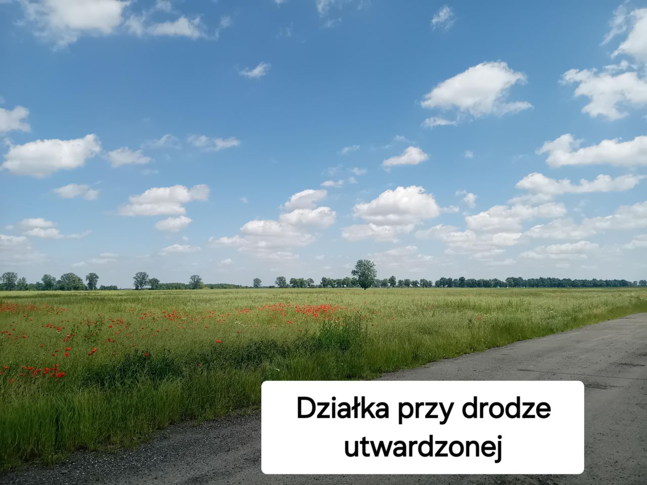 Działka budowlana Świerzna. Zdjęcie 1