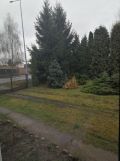 dom wolnostojący, 5 pokoi Drzewce-Kolonia, Drzewce-Kolonia. Zdjęcie 4