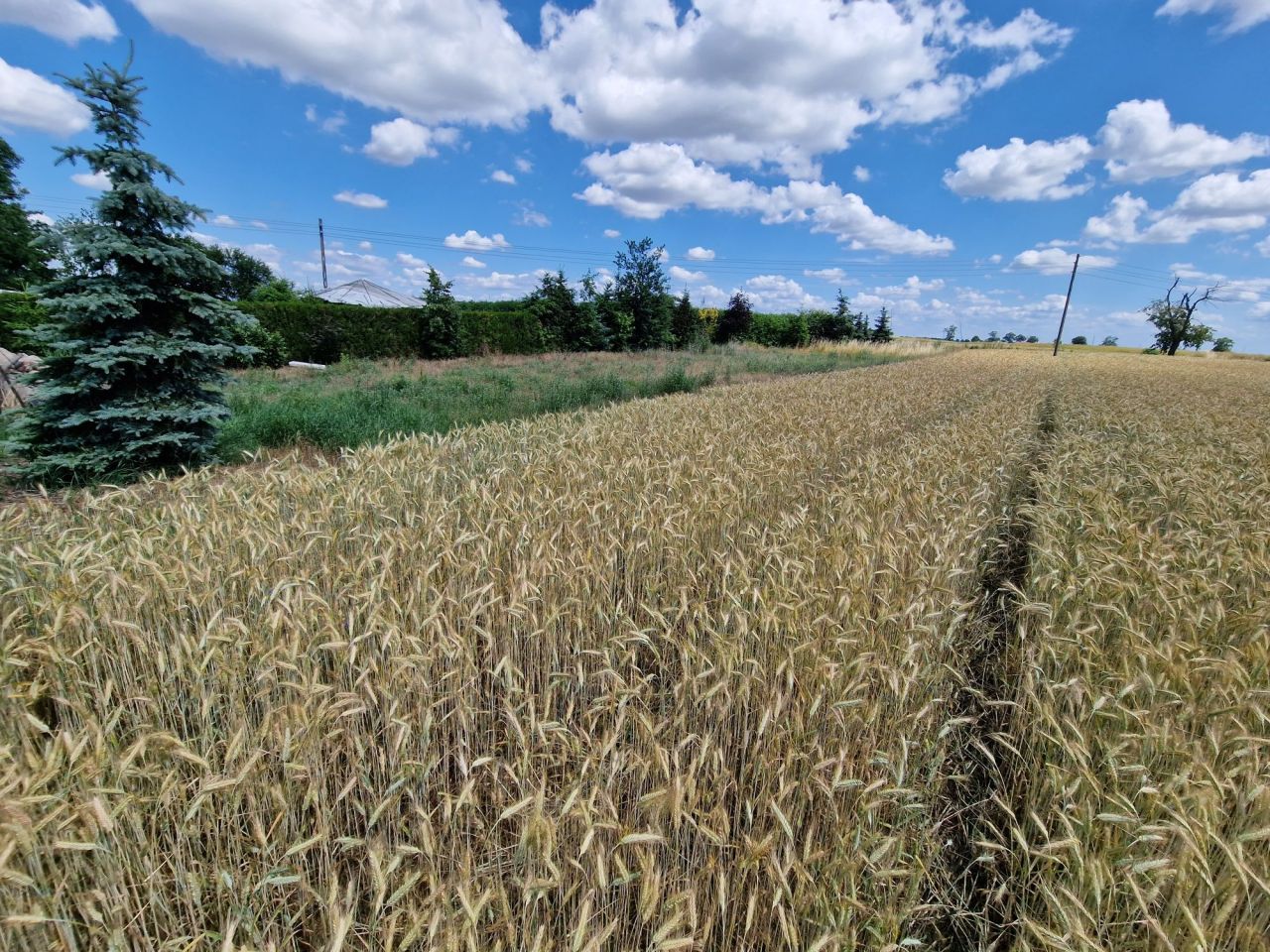 Działka budowlana Dolne Pole. Zdjęcie 2