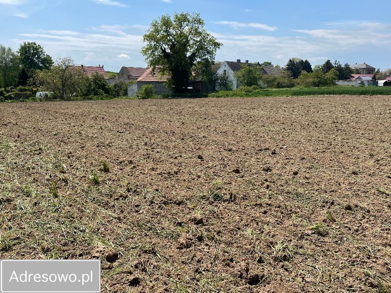 Działka rolno-budowlana Dobroszów. Zdjęcie 6