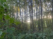 Działka rekreacyjna Malużyn. Zdjęcie 2