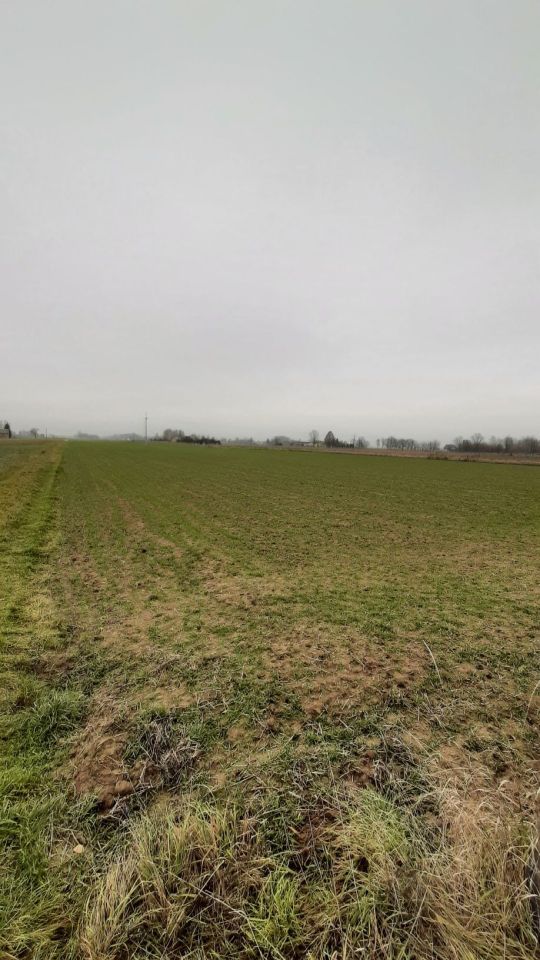 Działka budowlana Podkampinos. Zdjęcie 5