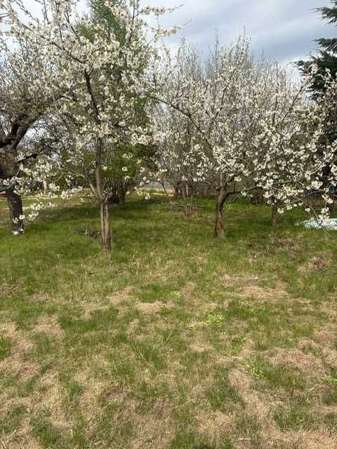 Działka rod Ostrów Wielkopolski, ul. Wrocławska. Zdjęcie 3