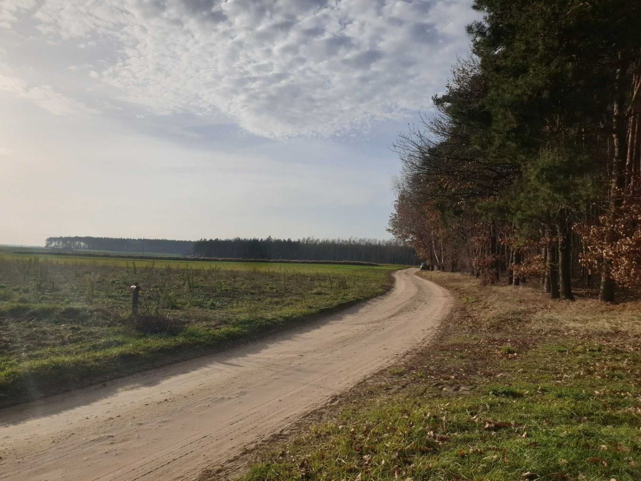 Działka budowlana Radziki Duże. Zdjęcie 5