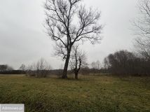 Działka budowlana Siennica, ul. gen. Władysława Sikorskiego. Zdjęcie 3