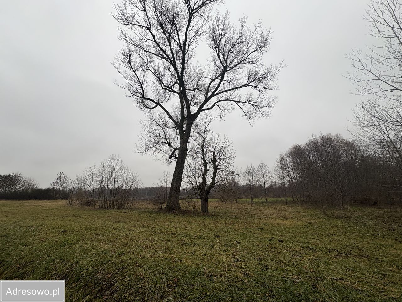 Działka budowlana Siennica, ul. gen. Władysława Sikorskiego. Zdjęcie 4