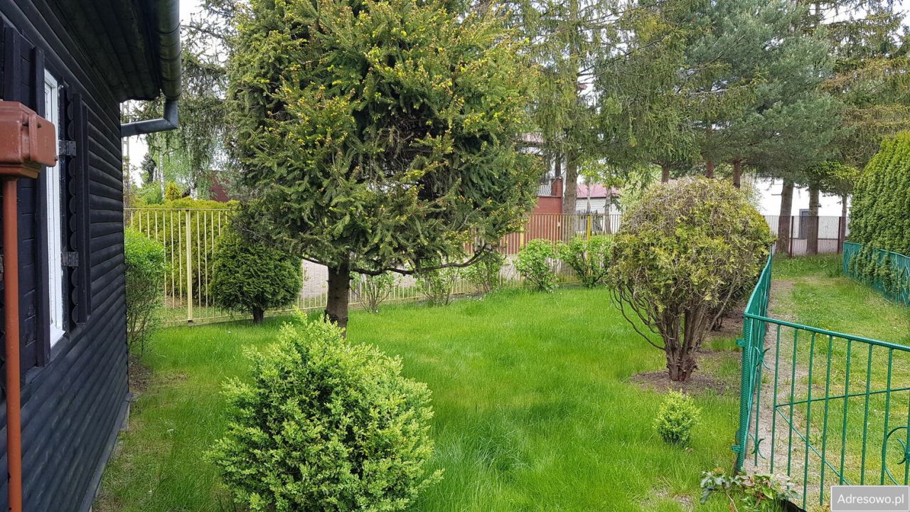 Działka rod Nadarzyn, ul. Żółwińska. Zdjęcie 3