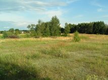Działka rolno-budowlana Czeczotki, ul. Cicha. Zdjęcie 4