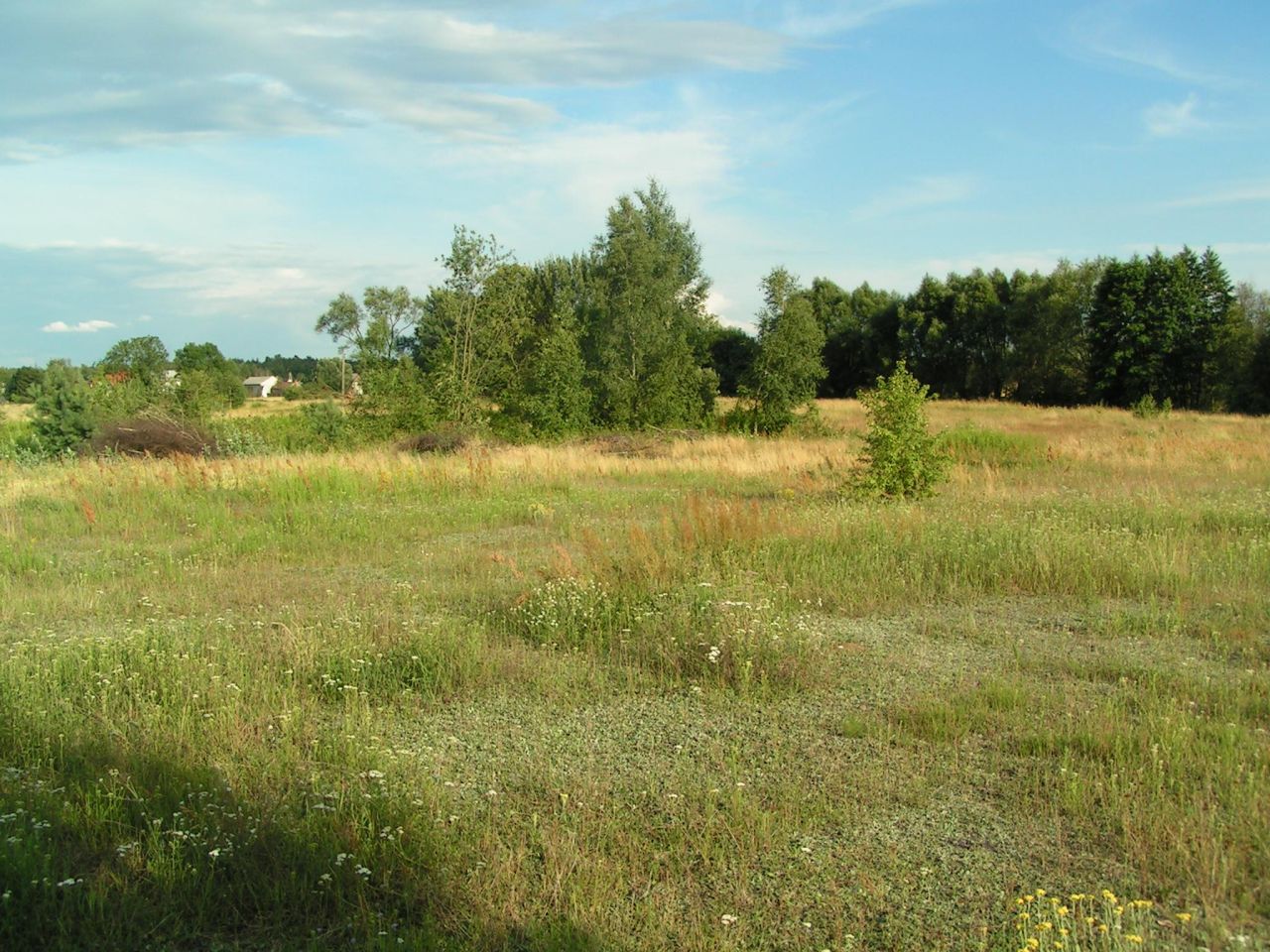 Działka rolno-budowlana Czeczotki, ul. Cicha. Zdjęcie 5