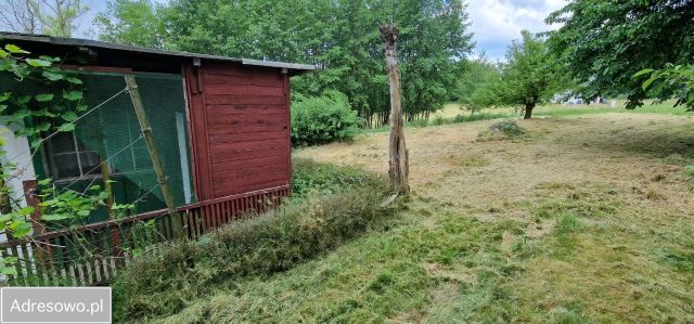 Działka budowlana Piotrkowiczki, ul. Łąkowa. Zdjęcie 1