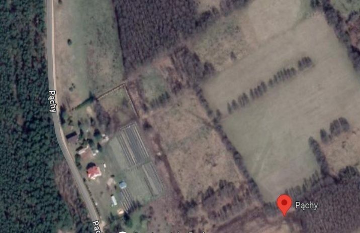 Działka Pąchy. Zdjęcie 3