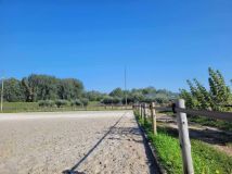 Nieruchomość komercyjna Sady. Zdjęcie 4