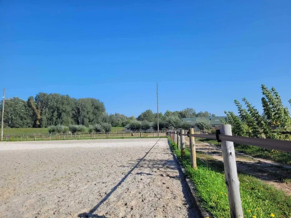 Nieruchomość komercyjna Sady. Zdjęcie 5