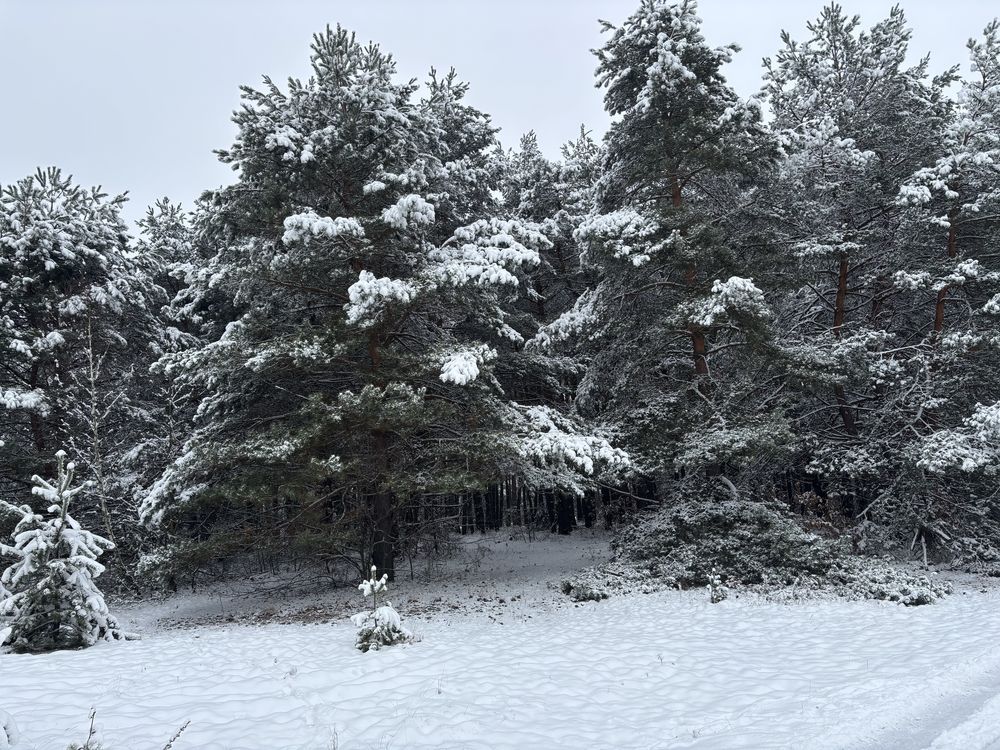Działka budowlana Kossów. Zdjęcie 2