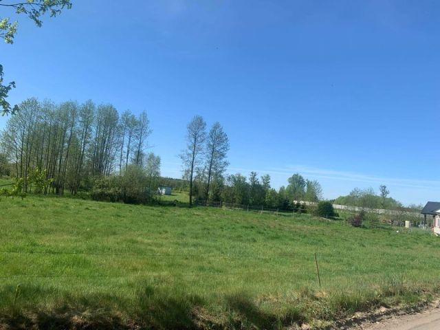 Działka rolno-budowlana Adamowo. Zdjęcie 1