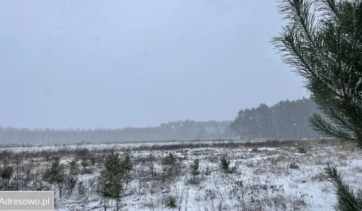 Działka budowlana Siestrzeń
