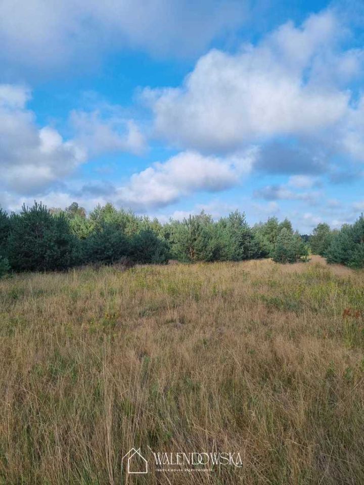 Działka Smołdzino. Zdjęcie 10