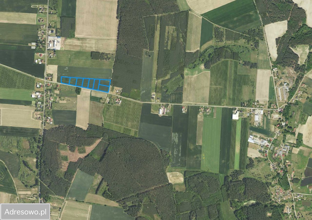 Działka rolno-budowlana Słonów. Zdjęcie 6