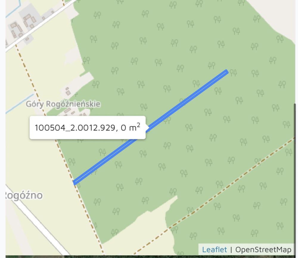 Działka leśna Rogóźno. Zdjęcie 3