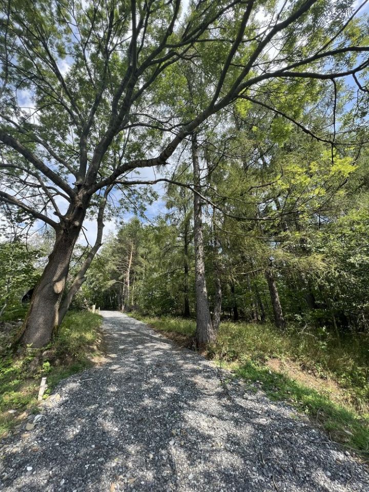 Działka budowlana Radziechowy. Zdjęcie 6