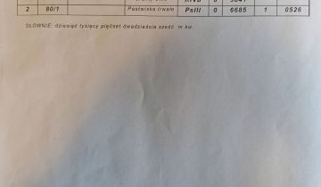 Działka siedliskowa Krąg